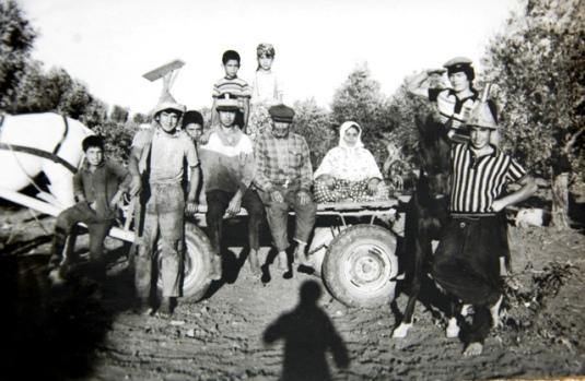 Laf ile Değil, Hal ile Anlatmak Laf ile Değil, Hal ile Anlatmak