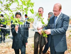 Karkamışlı Çiftçiler Yaralarını Sarmaya Çalışıyor