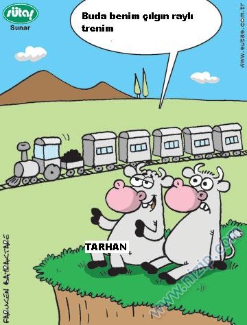 Sütaş karikatürleri Nizip.com'da Olursa.