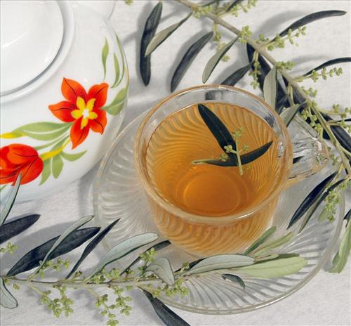 Zeytin yaprağı Çayı