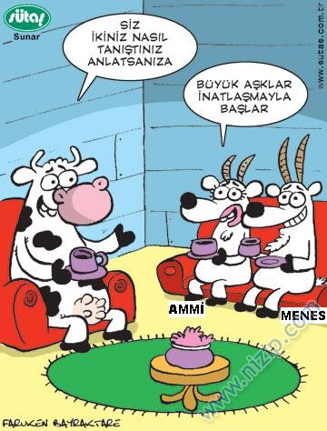 Sütaş karikatürleri Nizip.com'da Olursa.