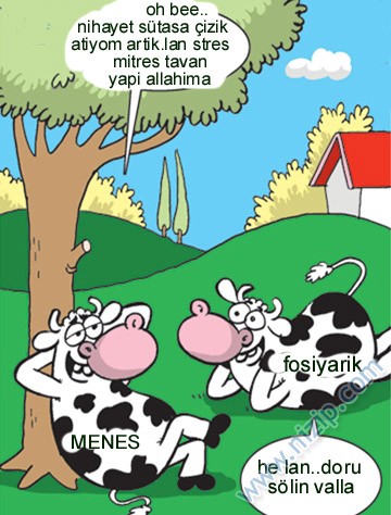 Sütaş karikatürleri Nizip.com'da Olursa.