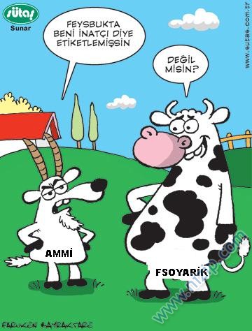 Sütaş karikatürleri Nizip.com'da Olursa.