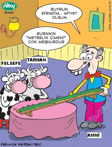 Sütaş karikatürleri Nizip.com'da Olursa.