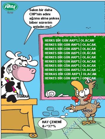 Sütaş karikatürleri Nizip.com'da Olursa.