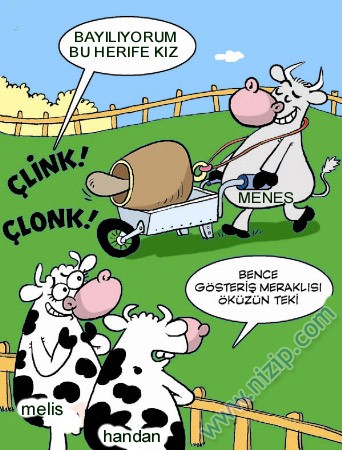 Sütaş karikatürleri Nizip.com'da Olursa.