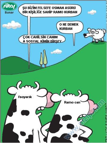 Sütaş karikatürleri Nizip.com'da Olursa.