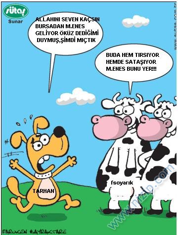 Sütaş karikatürleri Nizip.com'da Olursa.