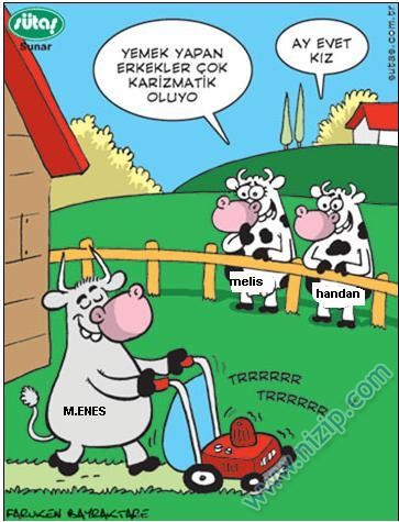 Sütaş karikatürleri Nizip.com'da Olursa.