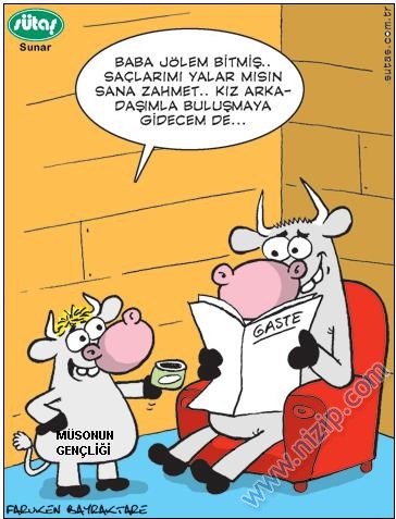 Sütaş karikatürleri Nizip.com'da Olursa.