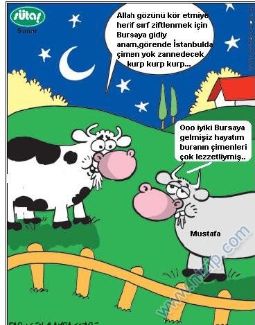 Sütaş karikatürleri Nizip.com'da Olursa.