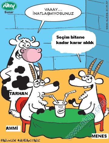 Sütaş karikatürleri Nizip.com'da Olursa.