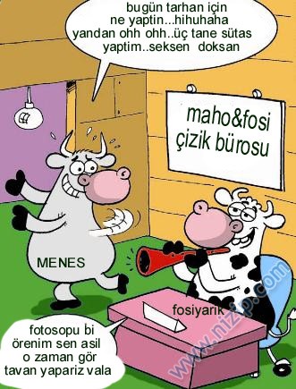 Sütaş karikatürleri Nizip.com'da Olursa.