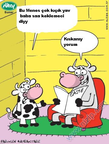 Sütaş karikatürleri Nizip.com'da Olursa.
