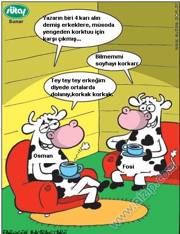 Sütaş karikatürleri Nizip.com'da Olursa.