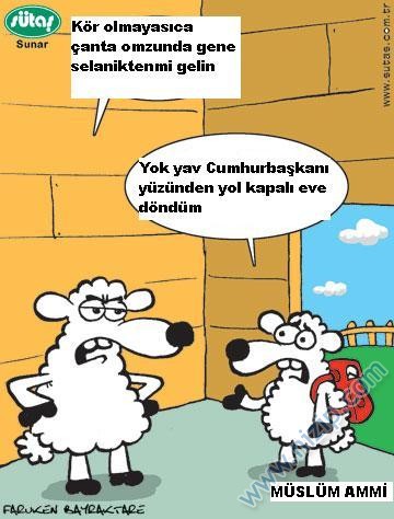 Sütaş karikatürleri Nizip.com'da Olursa.
