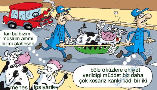 Sütaş karikatürleri Nizip.com'da Olursa.