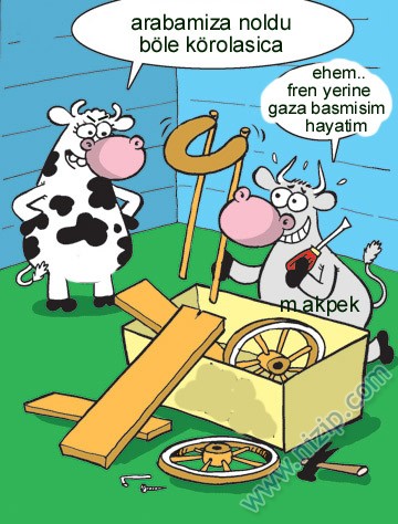 Sütaş karikatürleri Nizip.com'da Olursa.