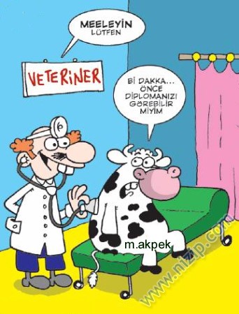 Sütaş karikatürleri Nizip.com'da Olursa.