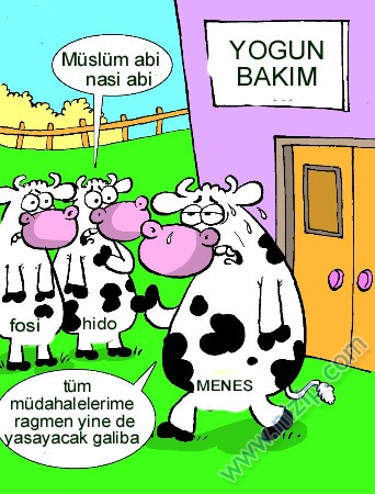 Sütaş karikatürleri Nizip.com'da Olursa.