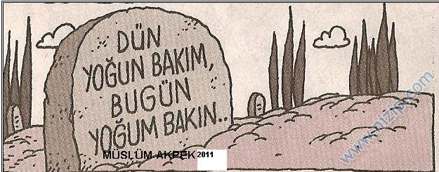 Sütaş karikatürleri Nizip.com'da Olursa.