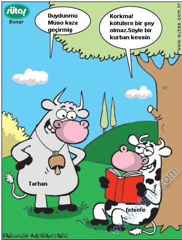 Sütaş karikatürleri Nizip.com'da Olursa.