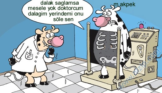 Sütaş karikatürleri Nizip.com'da Olursa.