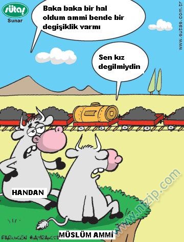 Sütaş karikatürleri Nizip.com'da Olursa.