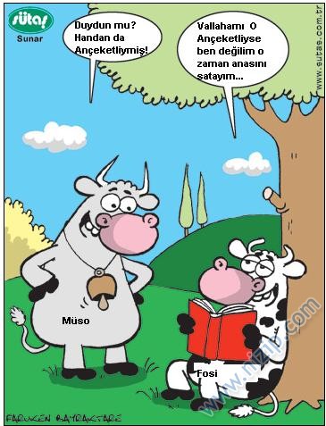 Sütaş karikatürleri Nizip.com'da Olursa.
