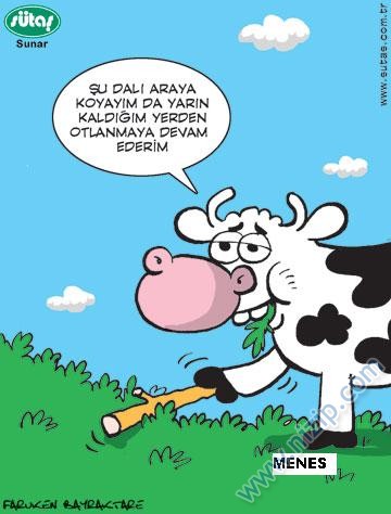 Sütaş karikatürleri Nizip.com'da Olursa.
