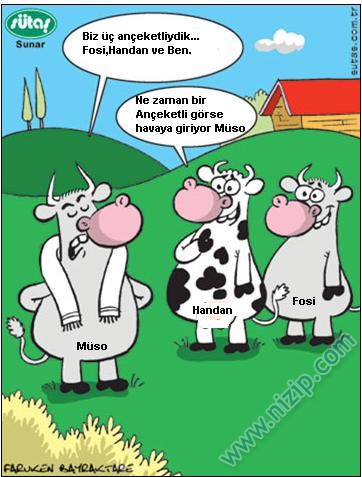 Sütaş karikatürleri Nizip.com'da Olursa.