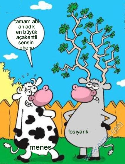Sütaş karikatürleri Nizip.com'da Olursa.