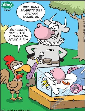 Sütaş karikatürleri Nizip.com'da Olursa.