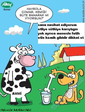 Sütaş karikatürleri Nizip.com'da Olursa.