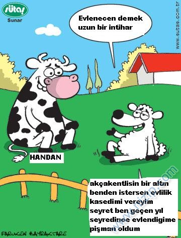 Sütaş karikatürleri Nizip.com'da Olursa.