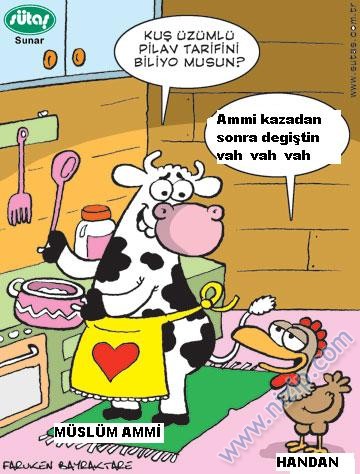 Sütaş karikatürleri Nizip.com'da Olursa.