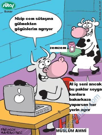 Sütaş karikatürleri Nizip.com'da Olursa.