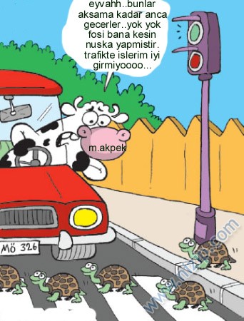 Sütaş karikatürleri Nizip.com'da Olursa.