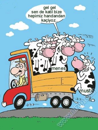 Sütaş karikatürleri Nizip.com'da Olursa.