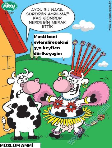Sütaş karikatürleri Nizip.com'da Olursa.