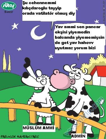 Sütaş karikatürleri Nizip.com'da Olursa.