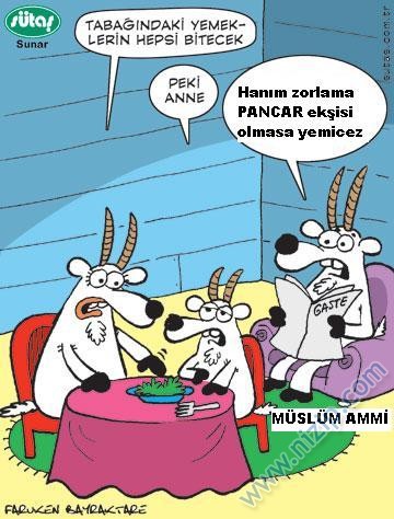 Sütaş karikatürleri Nizip.com'da Olursa.