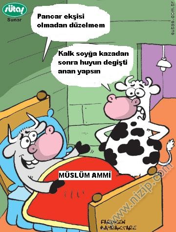 Sütaş karikatürleri Nizip.com'da Olursa.