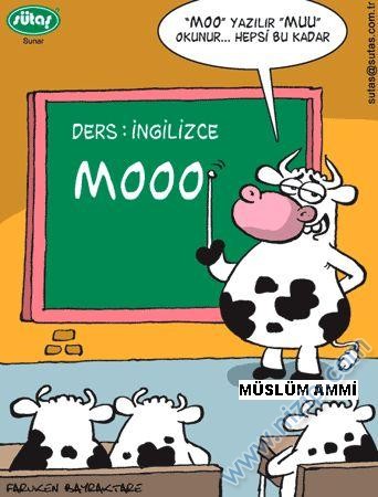 Sütaş karikatürleri Nizip.com'da Olursa.