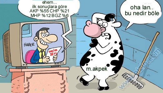 Sütaş karikatürleri Nizip.com'da Olursa.