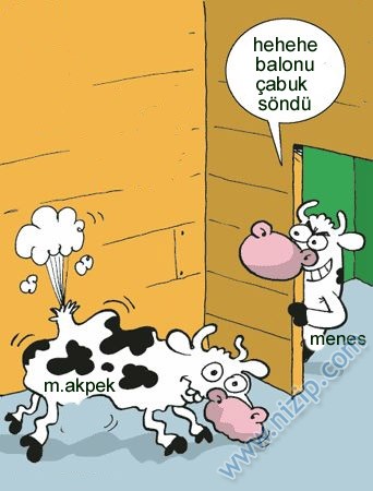 Sütaş karikatürleri Nizip.com'da Olursa.