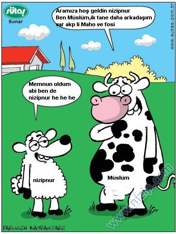 Sütaş karikatürleri Nizip.com'da Olursa.