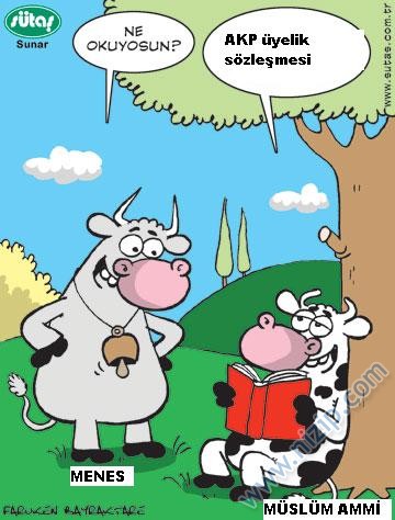 Sütaş karikatürleri Nizip.com'da Olursa.