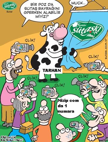 Sütaş karikatürleri Nizip.com'da Olursa.