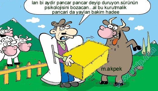 Sütaş karikatürleri Nizip.com'da Olursa.